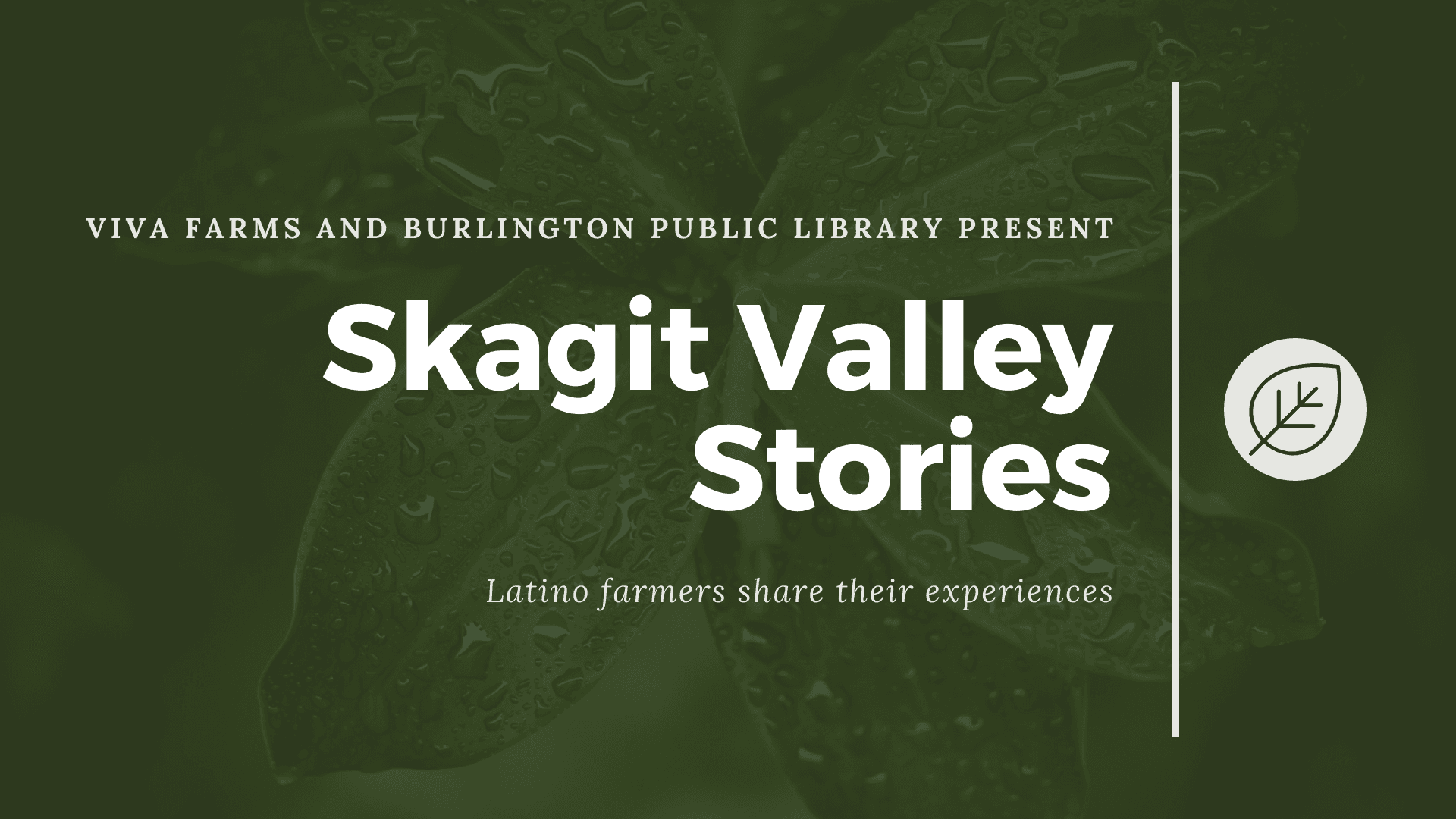 Skagit Valley Stories
