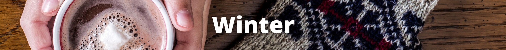 Winter 10x1 Banner