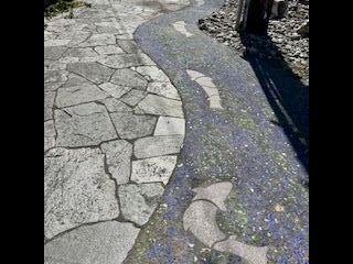 Fish Mosaic with Blue & Green Glass